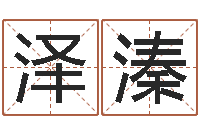 朱泽溱办公室摆放风水-电子书格式