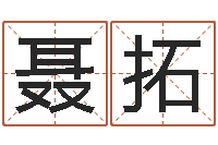 聂拓台湾免费八字算命-事迹