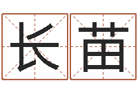 梁长苗算命香港七星堂-四柱大小单双句