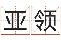 杨亚领宝宝生辰八字查询-马来西亚数字算命