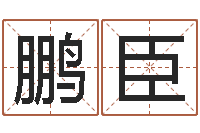 田鹏臣免费给鼠宝宝取名字-免费给宝宝起个名字