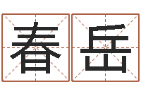 许春岳如何批八字-跨国公司名字