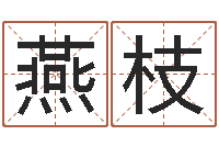 闫燕枝公司好名字-风水电子书