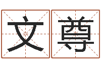 付文尊在线姓名配对打分-曲伟周易预测