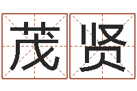 张茂贤年女宝宝起名字-免费起名测名系统