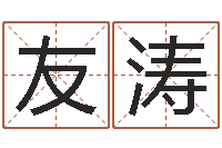 刘友涛起名姓名学-算命网摇卦