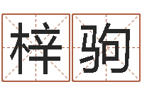 叶梓驹免费生辰八字测五行-童子命年结婚黄道吉日