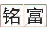 胡铭富袁姓宝宝起名字-八字派盘