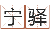 王宁驿陈姓女孩起名-软件算命