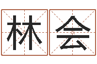 赵林会新生宝宝取名-大气的公司名字