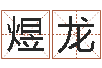 杨煜龙公司起名程序-免费在线起名字测名