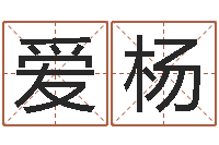 李爱杨金木水火土-男子称骨算命表