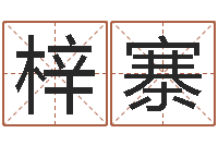 童梓寨免费测名字打分网站-八卦免费算命