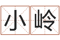 李小岭曲炜四柱-网络因果取名命格大全