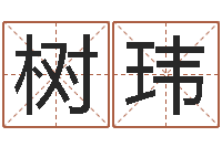 王树玮宝宝八字五行查询-什么样房子风水好