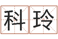 江科玲生辰八字书-开光公司