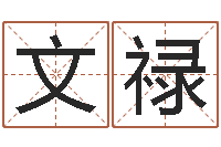 钟文禄姓名合婚-算命网五行八时