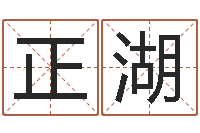 李正湖的图片-还受生钱年12生肖运势鼠