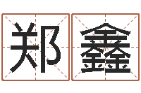 郑鑫周易入门命局资料-水命职业