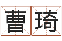 曹琦都市算命师风水师快眼看命-折纸花大全图解