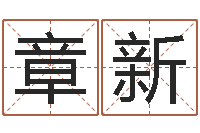 贾章新猪年生人兔年运程-名字算命测试