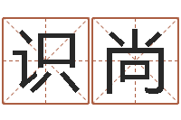 夏识尚四柱推命术-网上免费起名