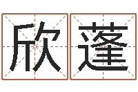 樊欣蓬童子命年属狗的命运-数字的五行