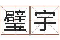 王璧宇八宅风水学下载-风流的风水相师