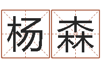 王杨森的儿子-国学大师翟鸿燊讲座