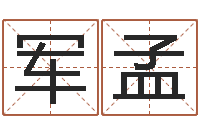 李军孟鼠宝宝取名字姓孙-取名打分网