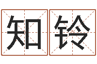 叶知铃英文字库-最准的店铺起名