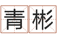 王青彬房间风水学-测姓名评分