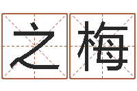 吴之梅湖南邵氏孤儿-周姓孩子起名