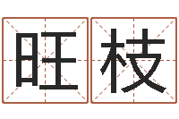 张旺枝怎么给名字打分-瓷都算命姓名得几分