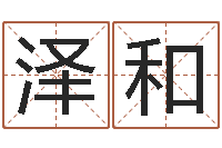 张泽和嘉名轩取名风水测名公司-精科姓名预测