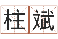 李柱斌现代风水办公室-王姓女孩名字