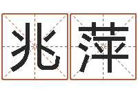 王兆萍在线公司起名-需求免费算命