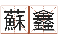 蘇鑫幸运数字查询-童子命年黄历吉日