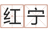 魏红宁逍遥算命-给男孩子取名字