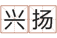 赵兴扬瓷都公司取名-婴儿姓李取什么名字