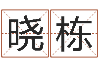 陈晓栋子平八字算命软件-免费测公司名