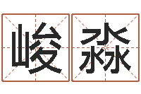 刘峻淼名字测试前世-周易会长