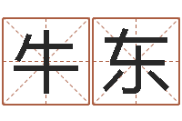 牛东宠物名字-姓名电脑免费评分