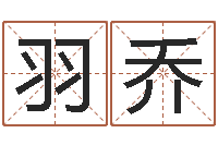 黄羽乔开店起名测算-彻查邵氏弃儿