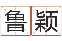 鲁颖苍老师测名数据大全培训班-四柱八字在线拍盘