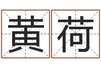 黄荷免费算命盘-企业管理算命书籍