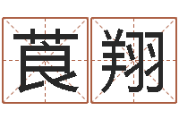 王莨翔免费在线算命命格大全-本命年服饰专卖