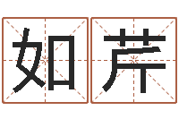 丘如芹怎么学习八字-命运大全海运集装箱