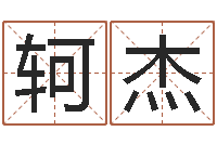 刘轲杰电子书网站-鼠年男婴儿起名字