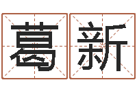 葛新免费姓名配对算命-著作